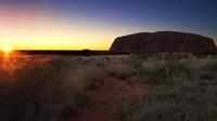 Uluru Field of Light Sunrise Tour